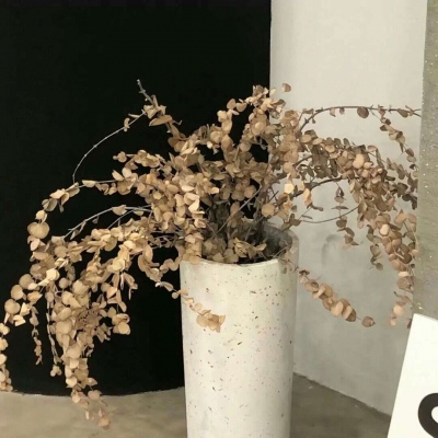 Furry绘画工具推荐兽圈群